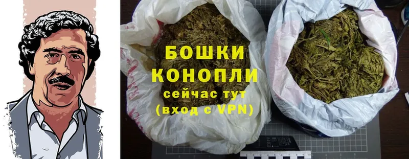 закладки  Красноармейск  Канабис SATIVA & INDICA 